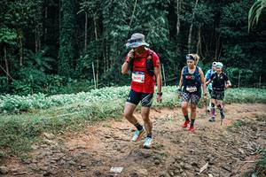 BIB: 
                            <button type="button" onclick="openModal(25909349)" class="btn btn-primary btn-sm float-right btn-popup" data-toggle="modal" data-target=".modal-high-quality">
                        <i class="fas fa-shopping-cart"></i> Add to Cart
                    </button>
                                            <button type="button" onclick="isThisMe(25909349, true)" class="btn btn-success btn-sm float-right btn-popup btn-isme hidden" data-toggle="tooltip" data-placement="bottom" title="นี่คือรูปของคุณใช่ไหม คลิกที่นี่เพื่อเอาเข้าอัลบั้ม">
                        <i class="fas fa-plus"></i> Add to album
                    </button>
                    <button type="button" onclick="isThisMe(25909349, false)" class="btn btn-warning btn-sm float-right btn-popup btn-isnotme hidden">
                        <i class="fas fa-ban"></i> Remove from album
                    </button>